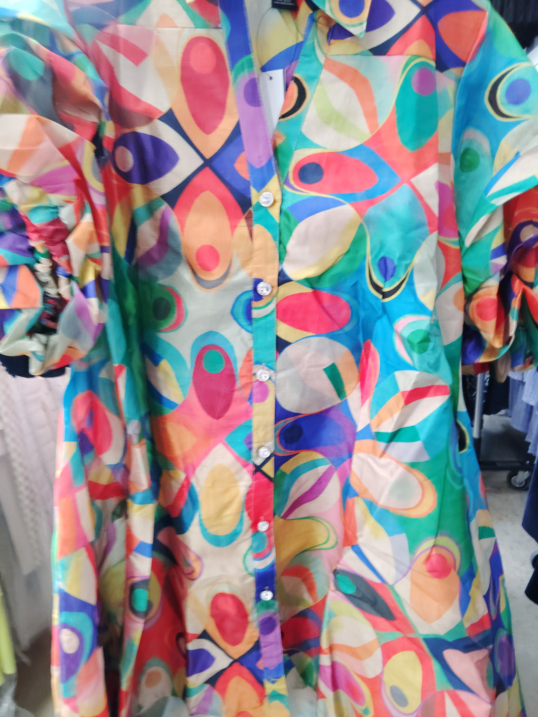 The Multi Colored Dress